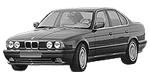 BMW E34 P1299 Fault Code